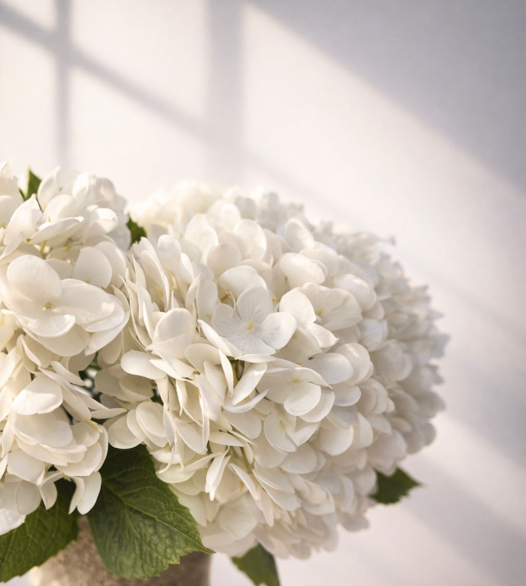 Bouquet Ivory Bloom · Small
