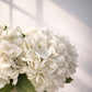 Bouquet Ivory Bloom · Small