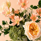 Garden Whisper Apricot Dream