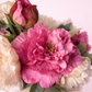 Bouquet Soft Bloom