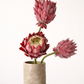 Bouquet Pure Form
