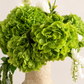 Bouquet Green Silence