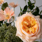 Bouquet Garden Whisper