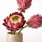 Bouquet Pure Form