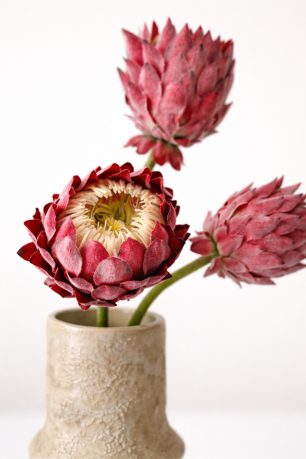 Bouquet Pure Form