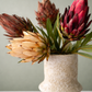 Bouquet Terra Blush