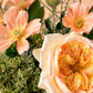 Garden Whisper Apricot Dream