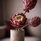 Bouquet Pure Form